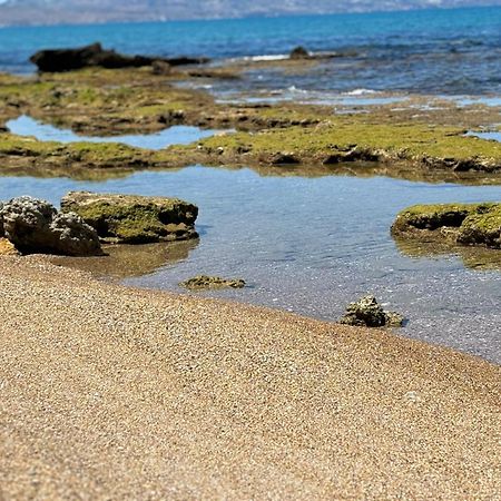 Lu Mari Case Vacanze Balestrate Eksteriør bilde